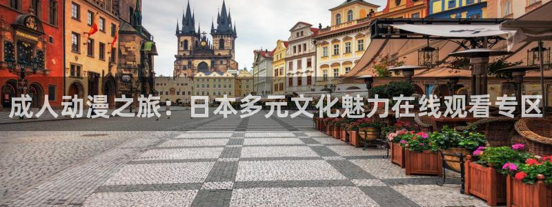 51樱花动漫：成人动漫之旅：日本多元文化魅力在线观看专区