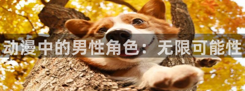 放课后の优等生樱花动漫：动漫中的男性角色：无限可能性